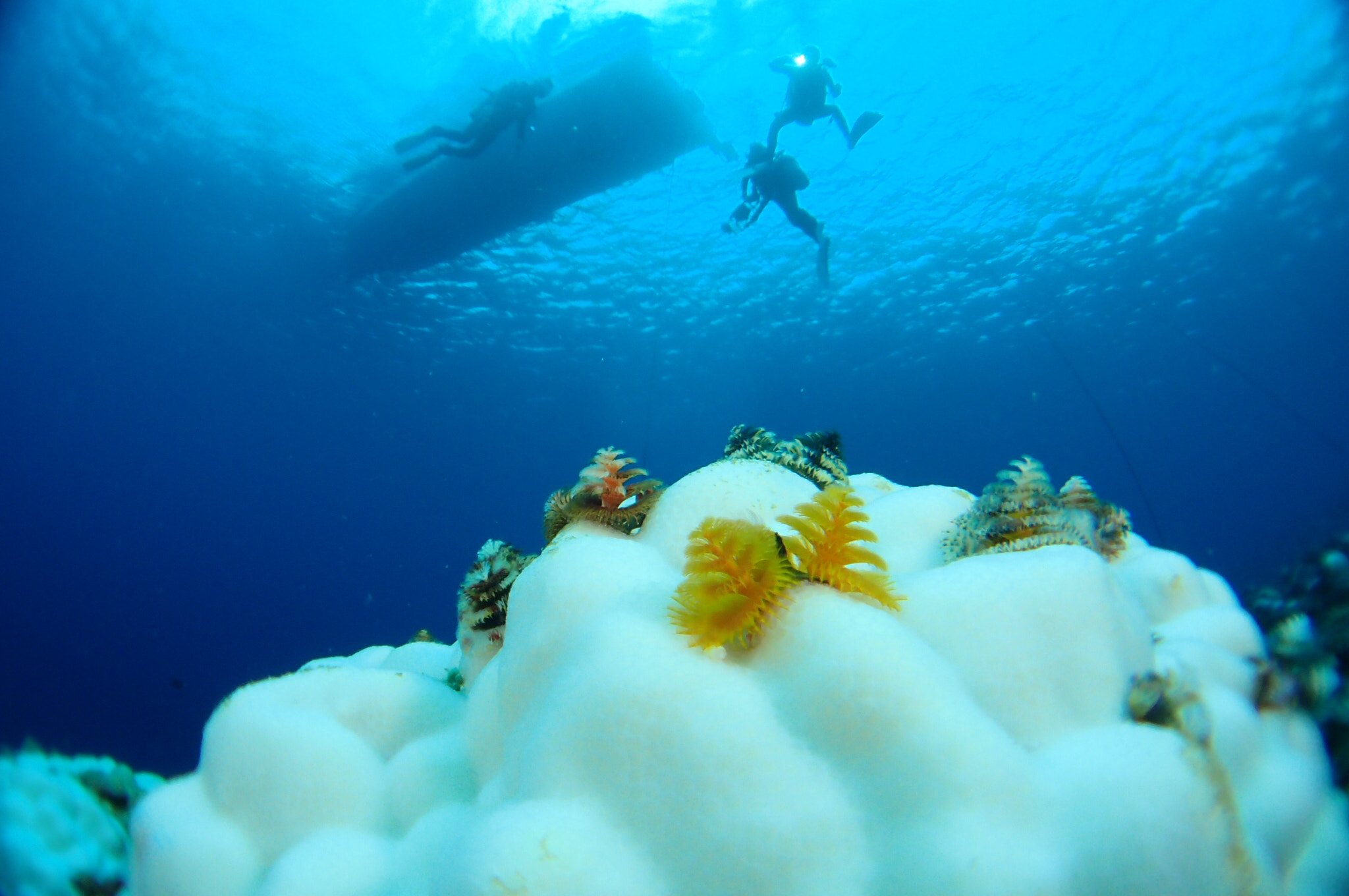 Olympus TG-3 sample photo. Miyako-jima island photography