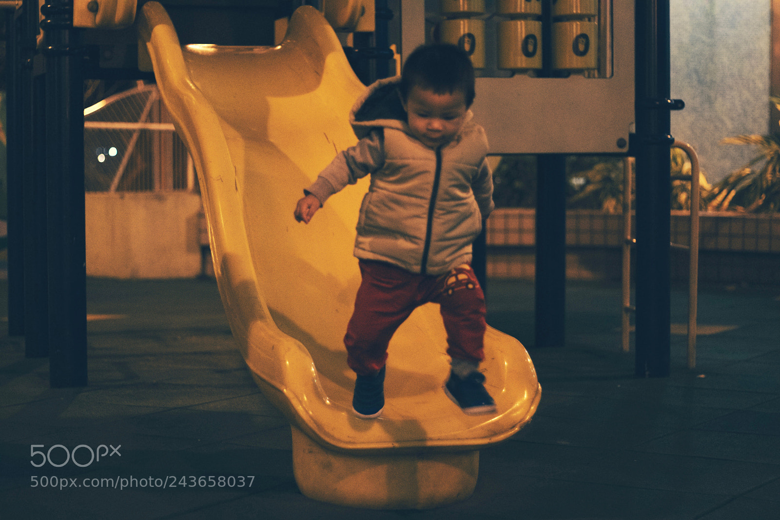 Canon EOS 800D (EOS Rebel T7i / EOS Kiss X9i) sample photo. He flew photography