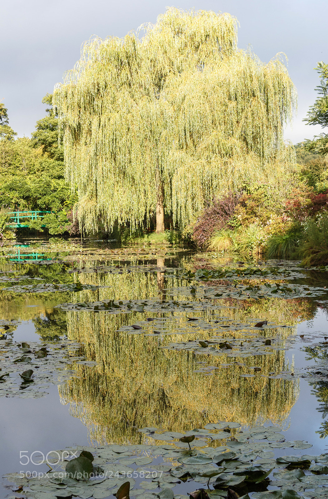 Canon EOS 1200D (EOS Rebel T5 / EOS Kiss X70 / EOS Hi) sample photo. Monet's garden waterlilies and photography