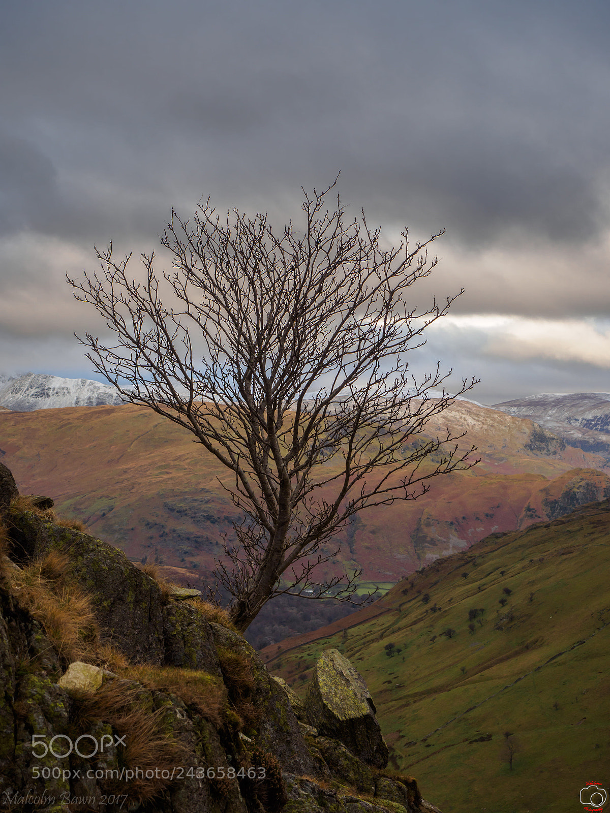 Olympus OM-D E-M5 II sample photo. A rowans colourful view. photography