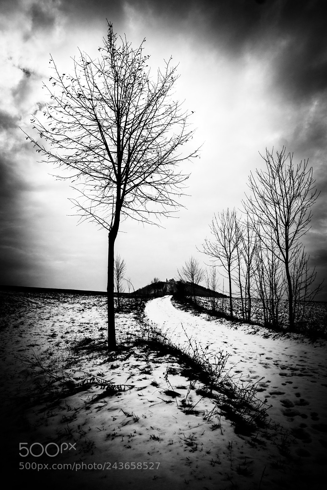 Sony ILCA-77M2 sample photo. Winter countryside photography