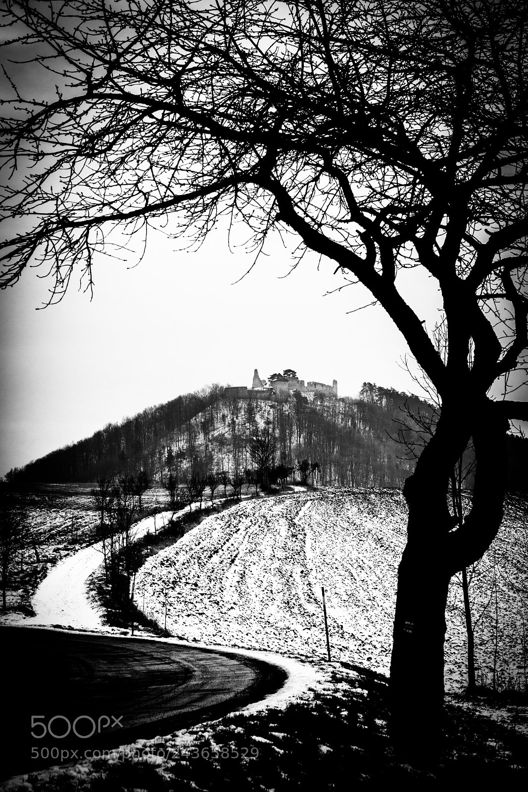 Sony ILCA-77M2 sample photo. Winter countryside photography