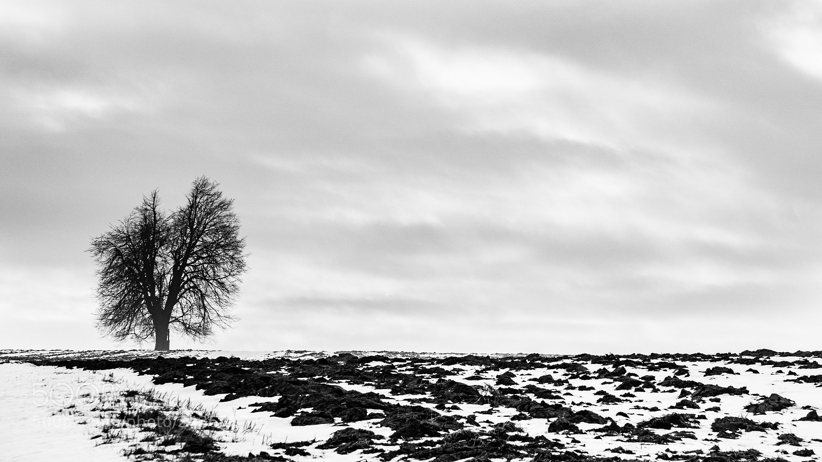 Sony ILCA-77M2 sample photo. Winter countryside photography