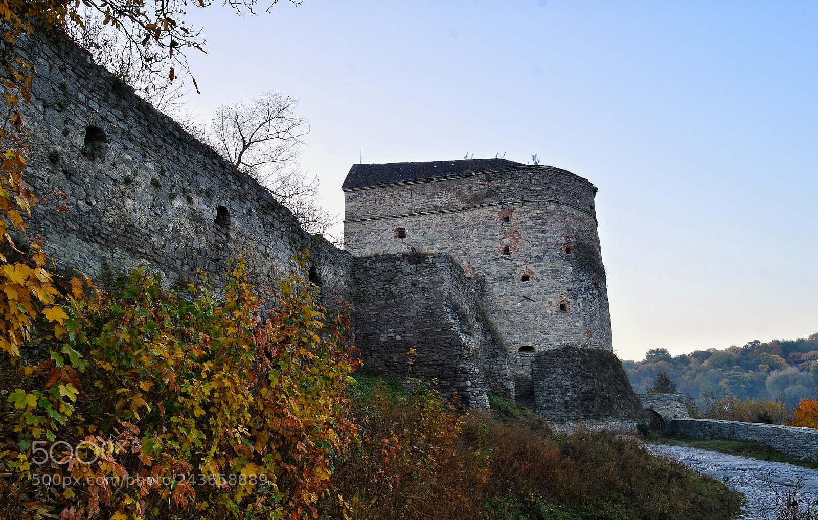 Nikon D3200 sample photo. Untitled photography