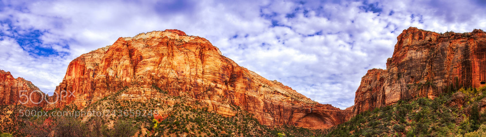 Nikon D810 sample photo. Zion national park photography