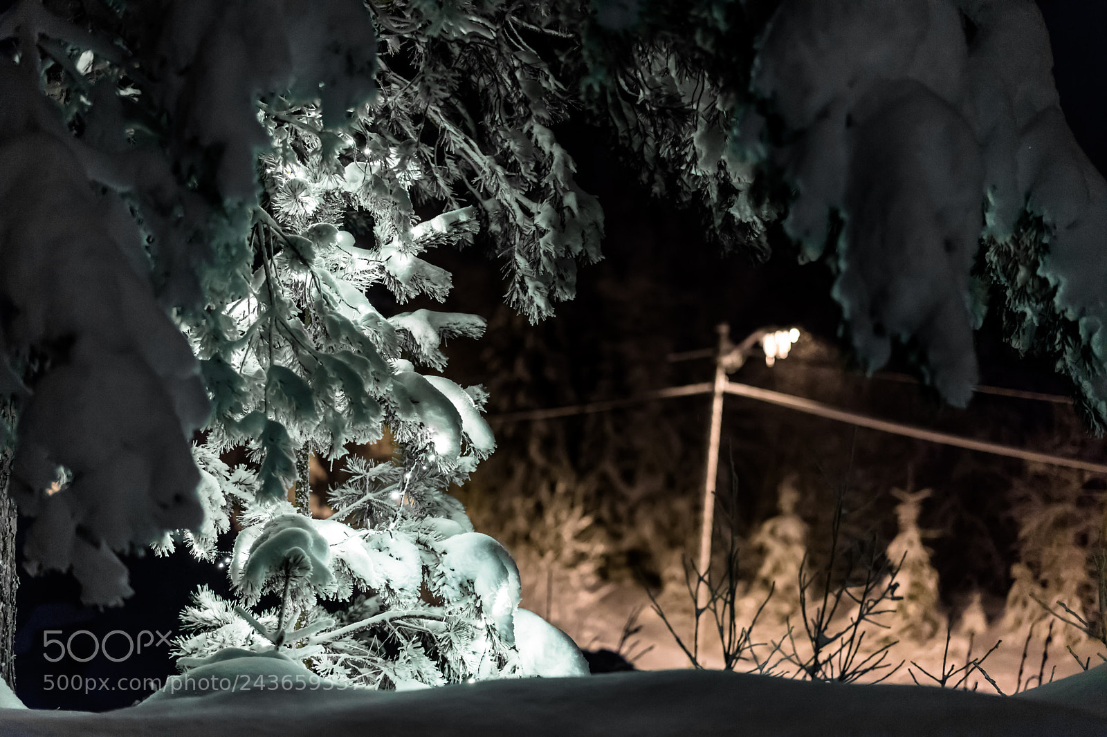 Sony a7 II sample photo. Christmas lights. photography