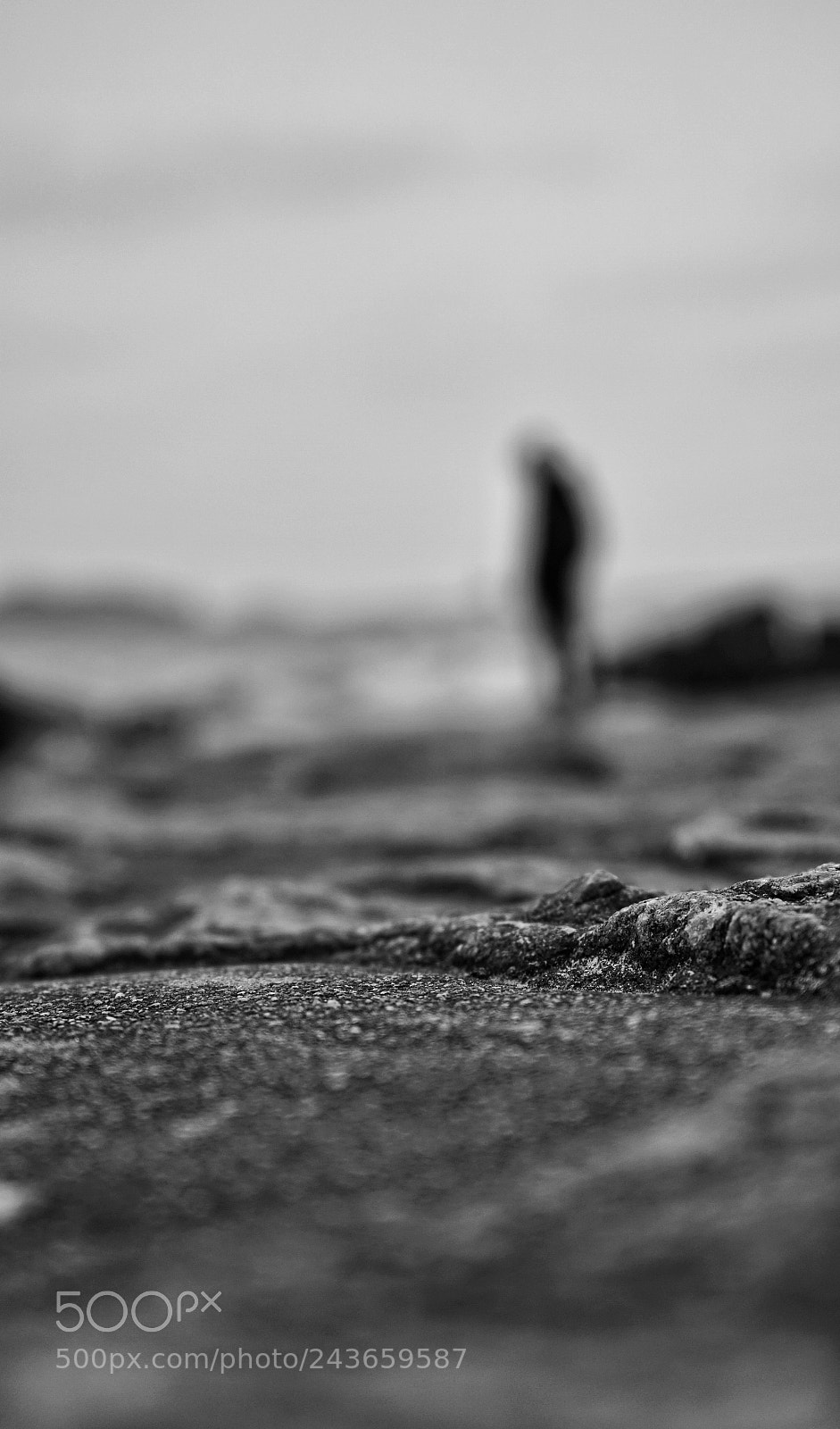 Sony a7R II sample photo. Untitled photography