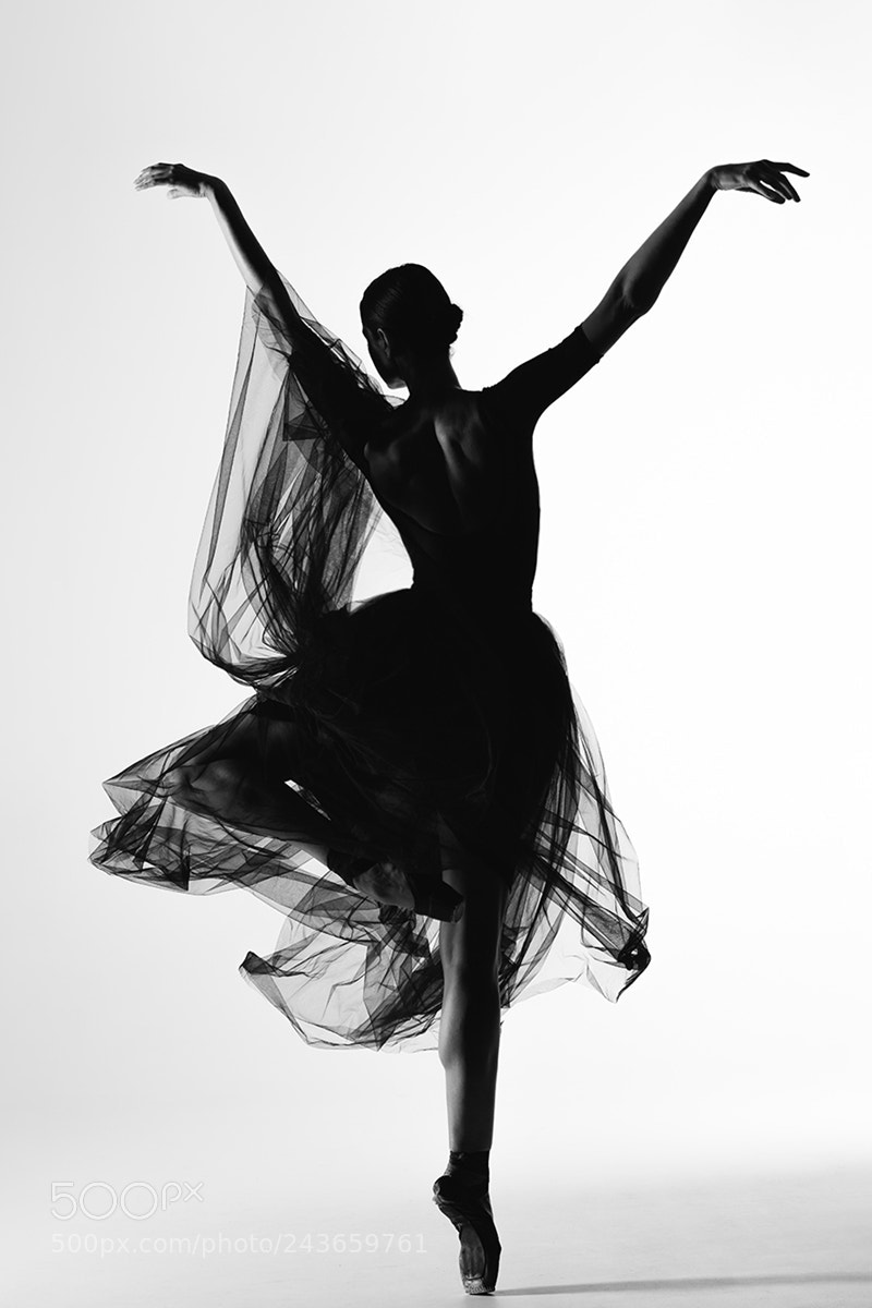 Canon EOS 5DS R sample photo. Silhouette photography