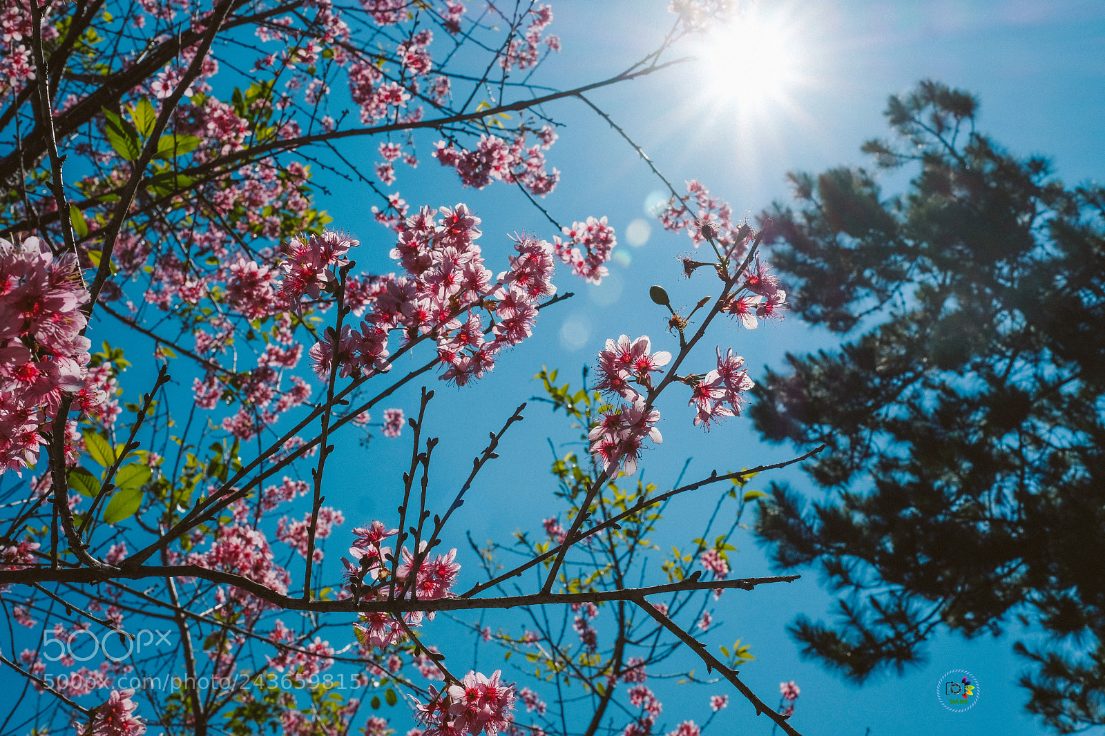 Fujifilm X-T2 sample photo. Dsle photography