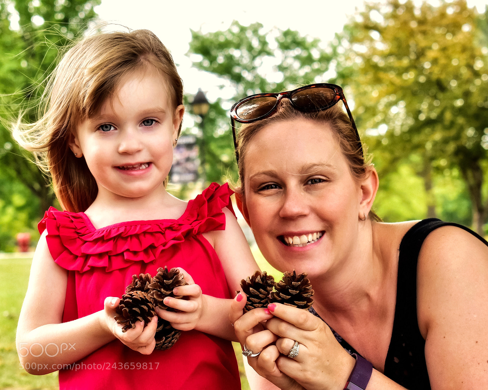 Nikon D5600 sample photo. Collecting pine cones photography