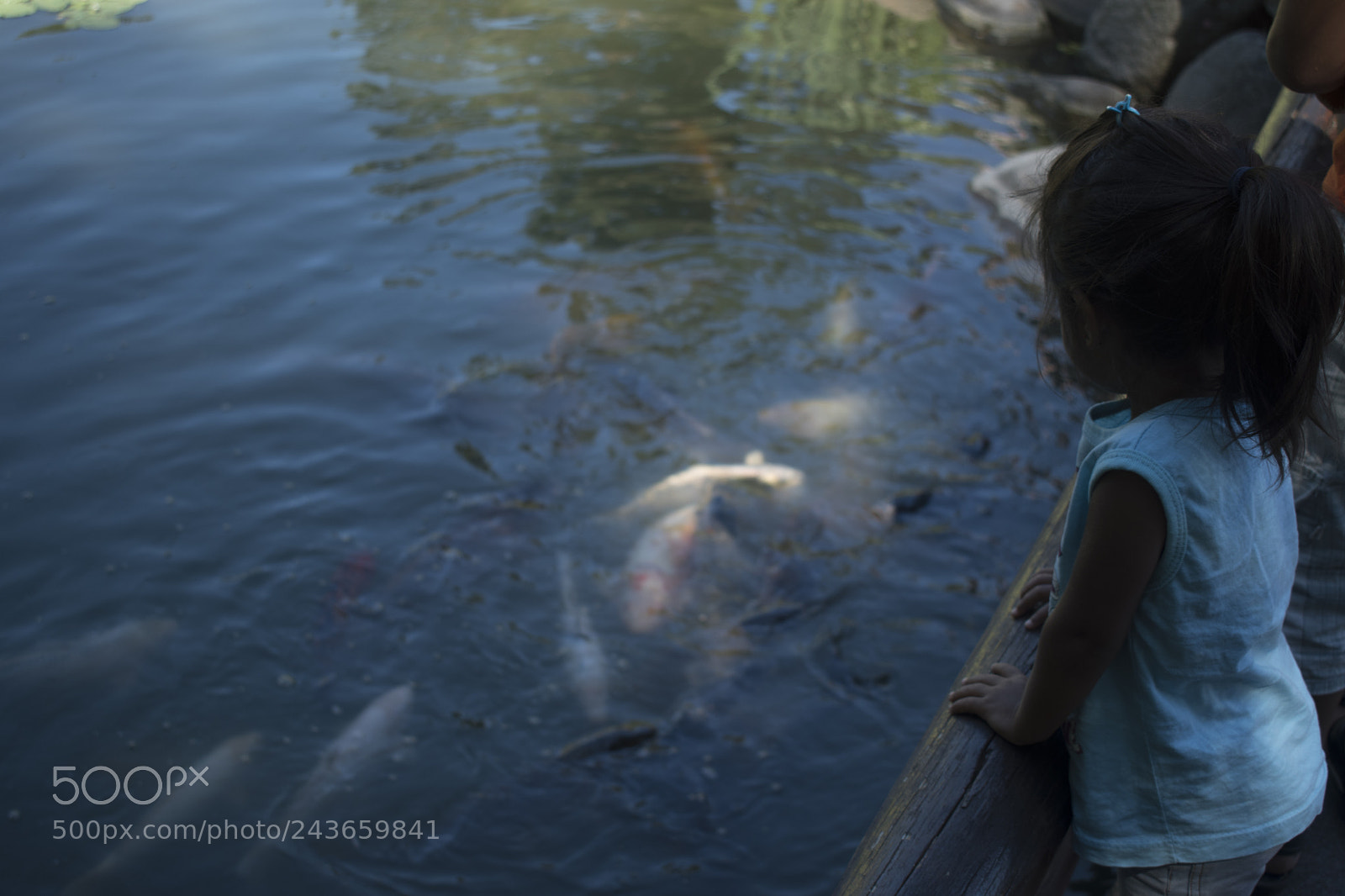 Nikon D5600 sample photo. Child photography