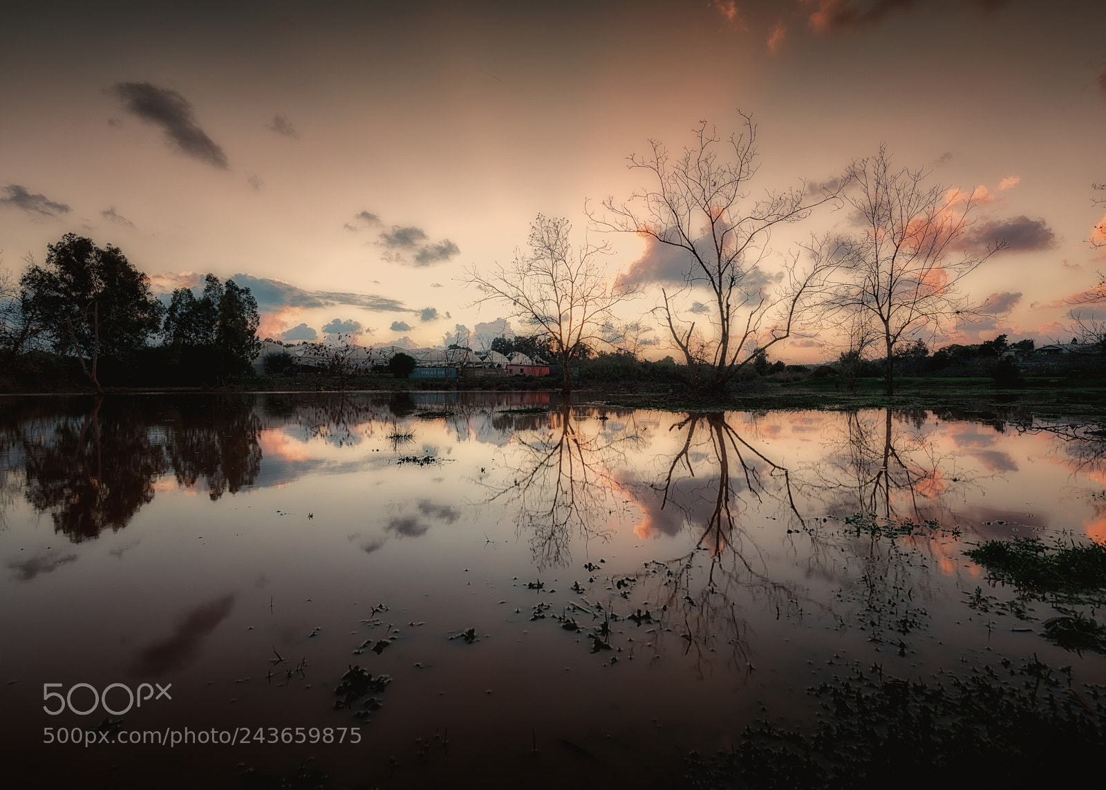 Nikon D850 sample photo. The reflection photography