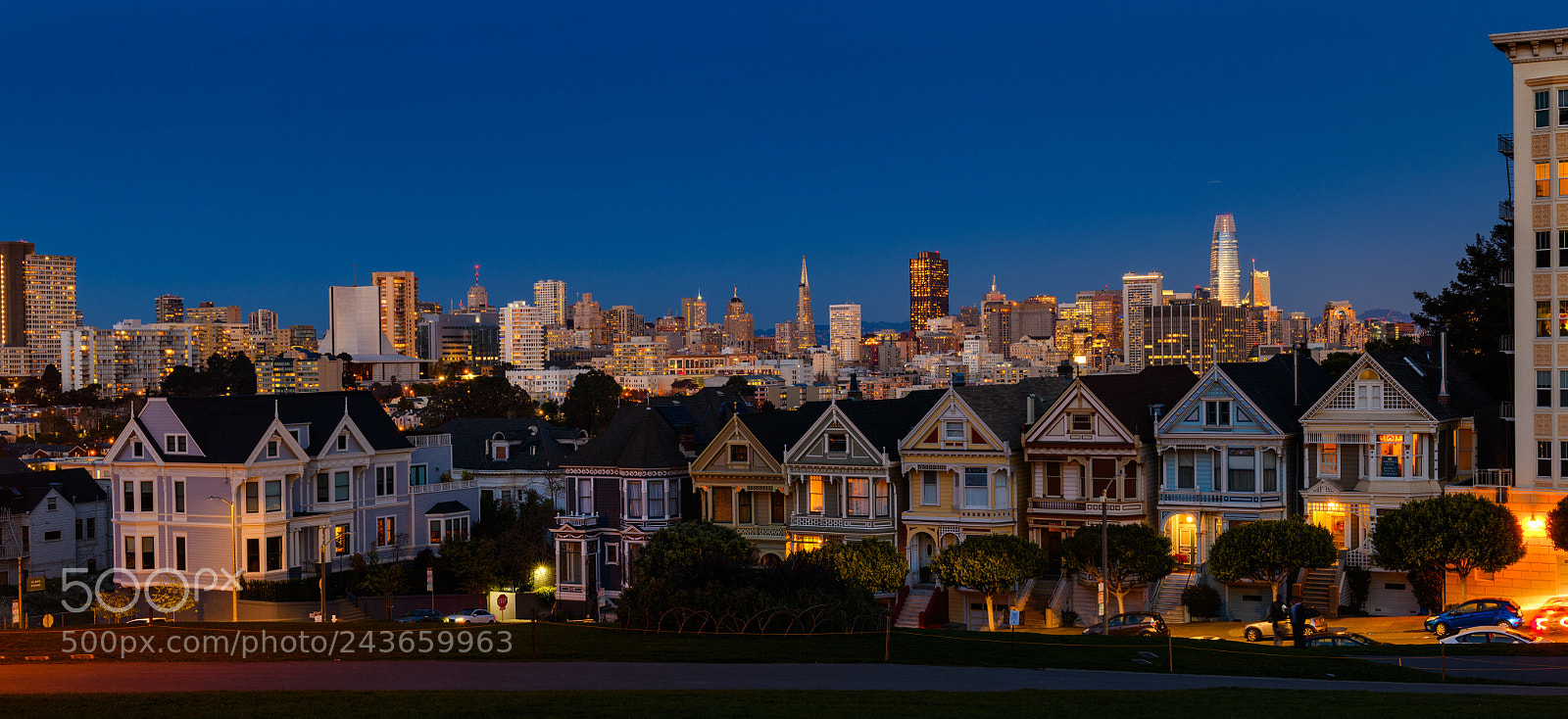 Nikon D850 sample photo. Alamo park photography