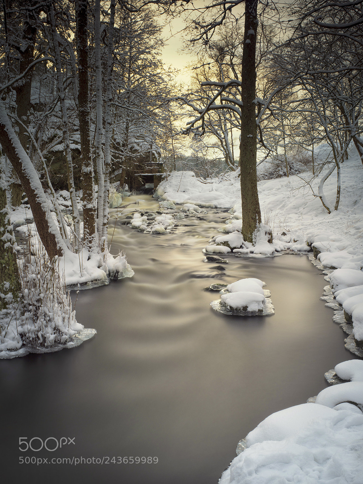 Olympus OM-D E-M1 Mark II sample photo. Nyfors 4 photography