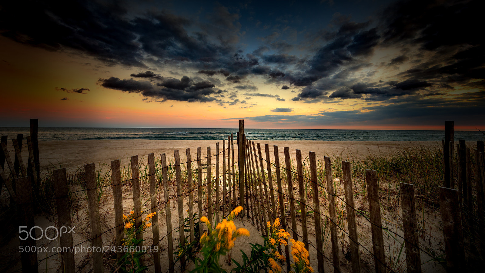 Canon EOS 5DS R sample photo. Long island photography