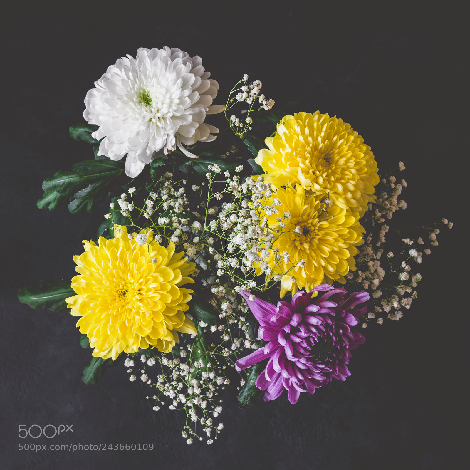 Nikon D810 sample photo. Bouquet of chrysanthemum flowers photography