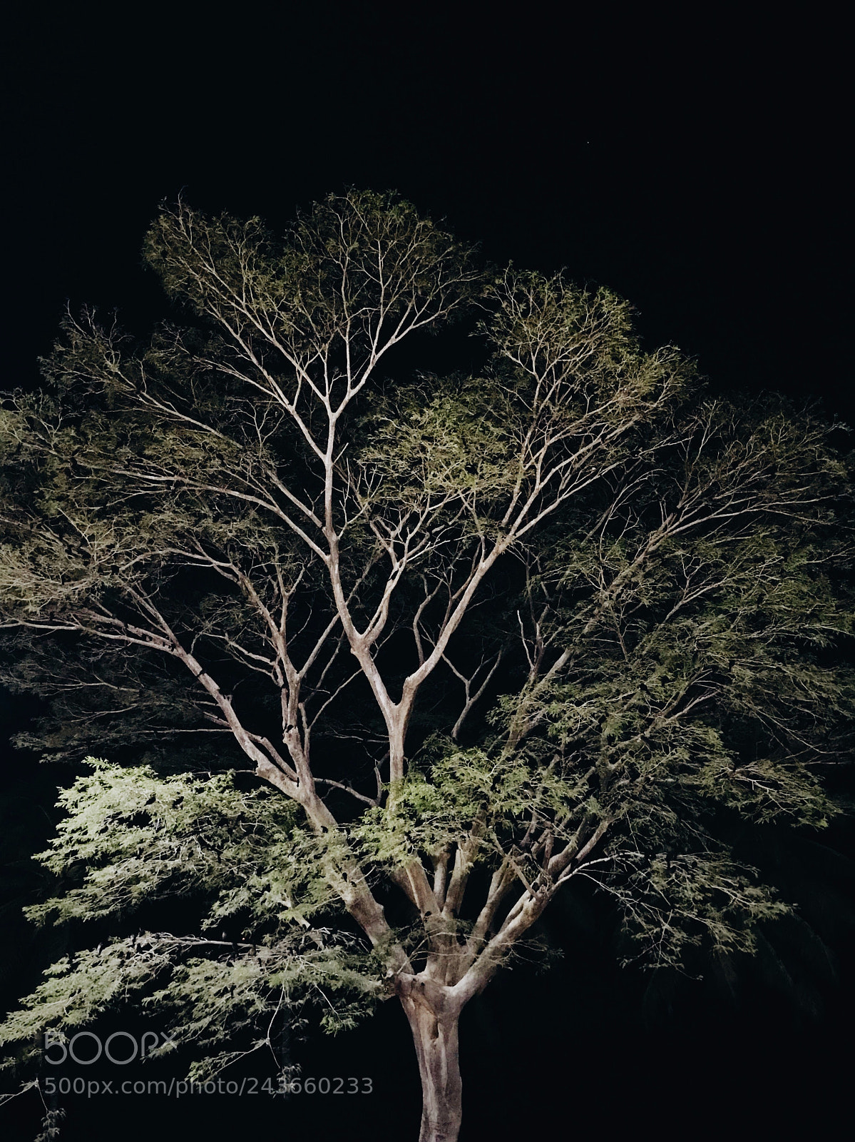 Apple iPhone 7 sample photo. Nature photography