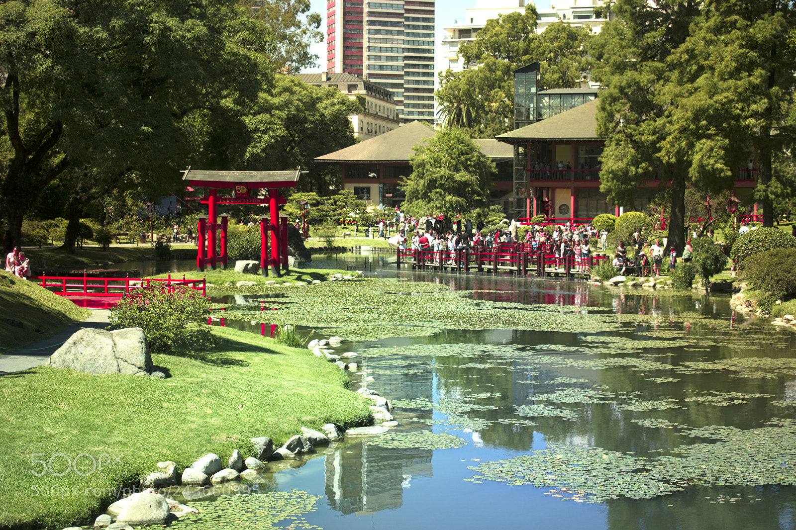 Nikon D5600 sample photo. Japan photography