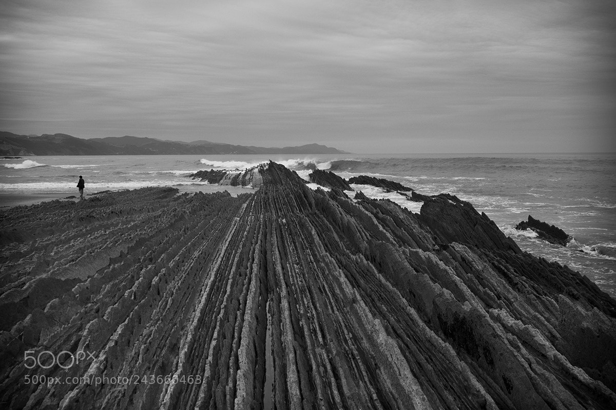 Olympus OM-D E-M5 sample photo. Flysch formation in zumaia photography