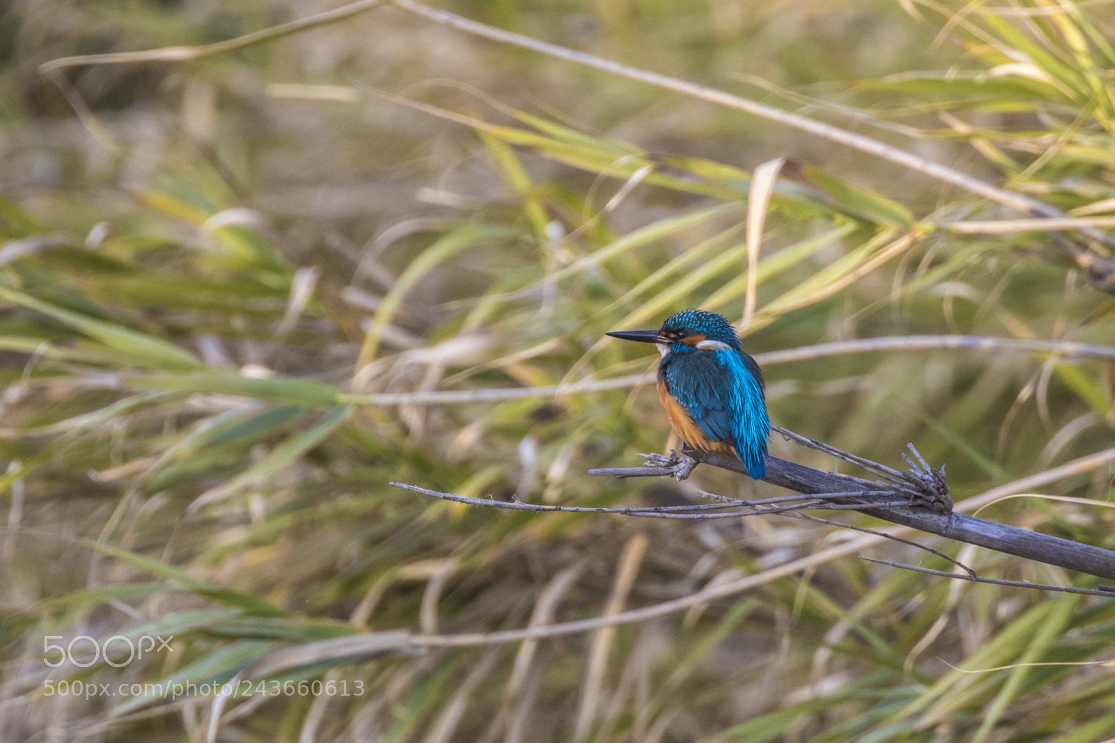 Canon EOS 7D Mark II sample photo. Morning view photography