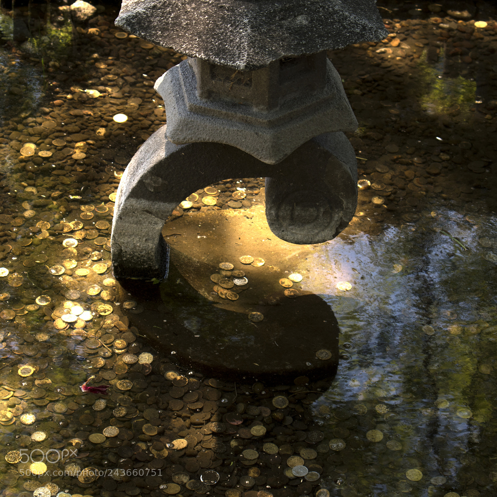 Nikon D5600 sample photo. Gold photography