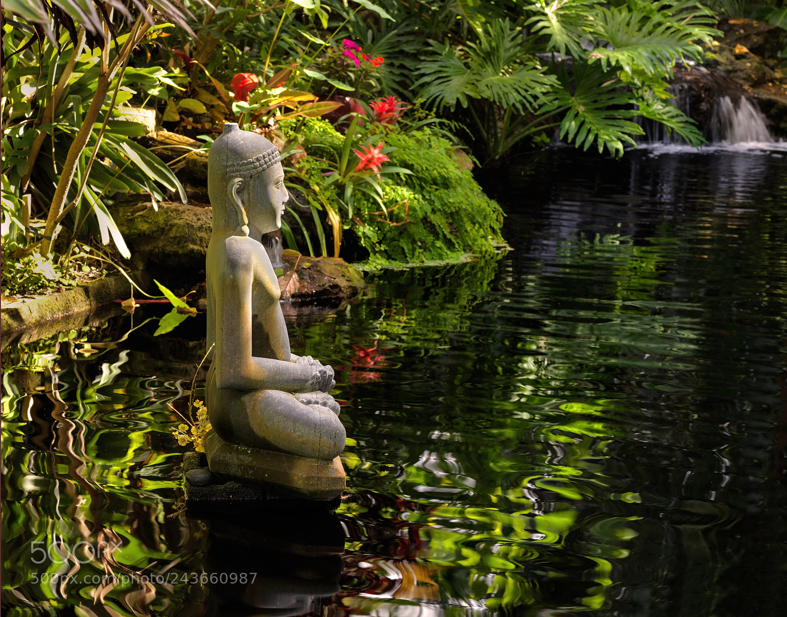 Hasselblad X1D-50c sample photo. Buddha in the pool photography