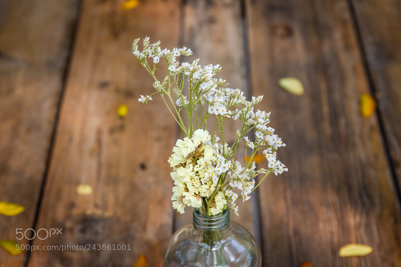 Canon EOS-1D Mark IV sample photo. Flower for the valentine photography