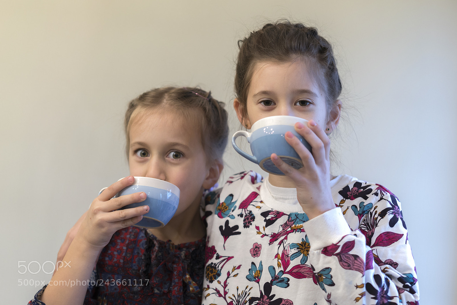 Sony a7R II sample photo. Two little girls are photography