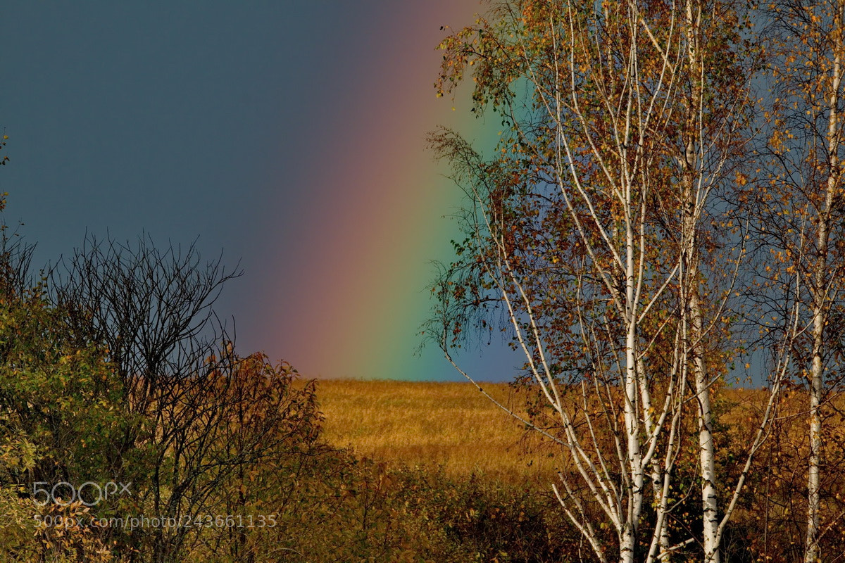 Fujifilm X-T1 sample photo. Russia. autumn rainbow of photography