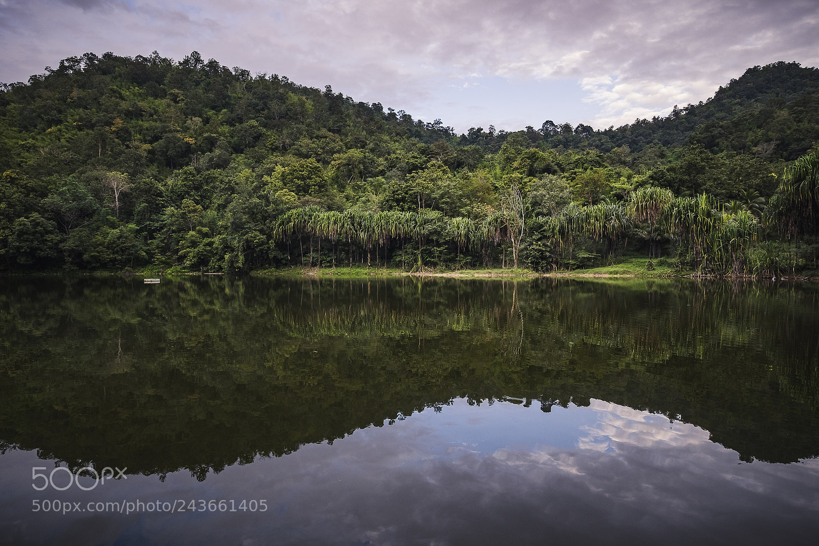 Fujifilm X-T1 sample photo. Reflection photography