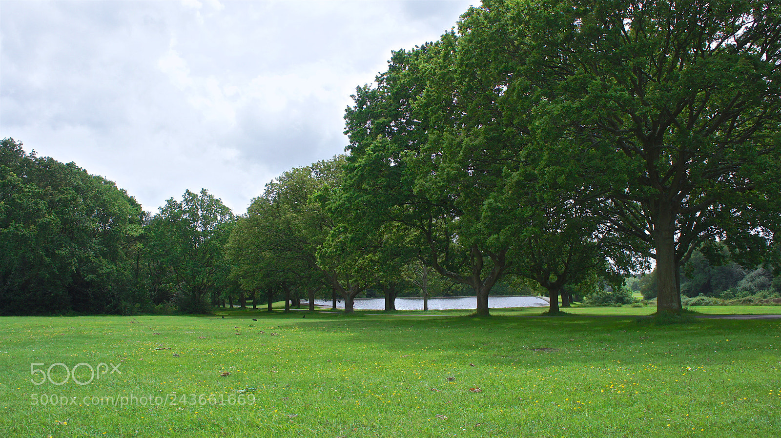 Sony Alpha NEX-5 sample photo. Enjoy southampton common photography