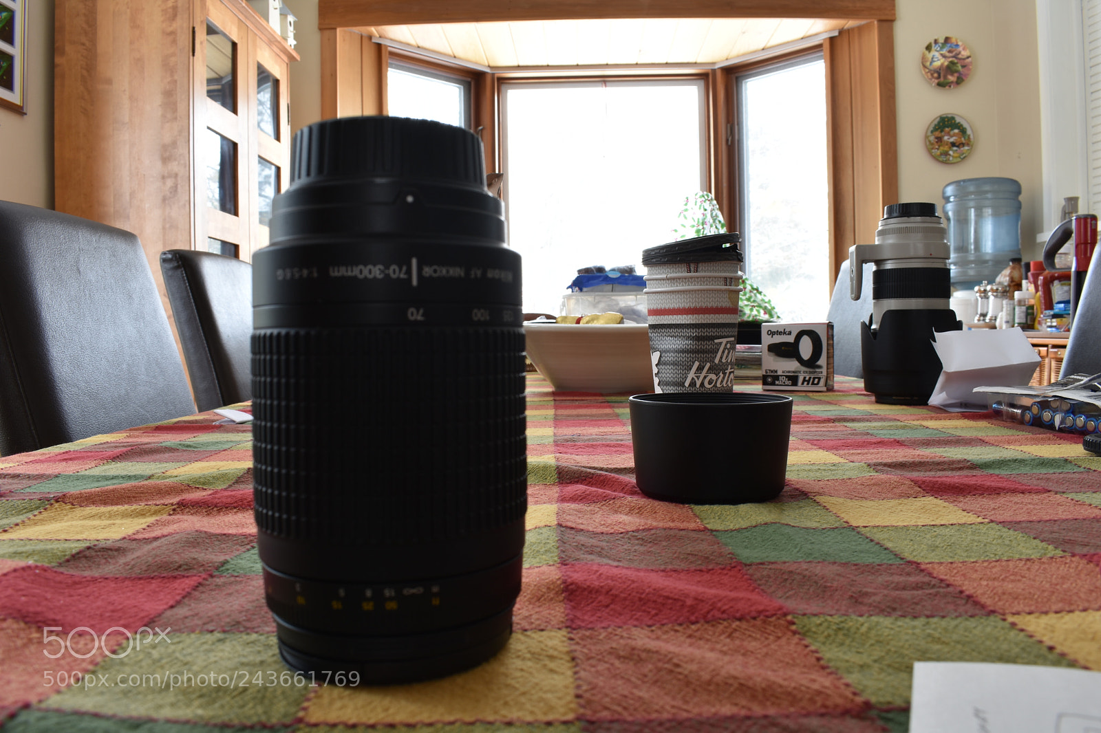 Nikon D3400 sample photo. Untitled photography