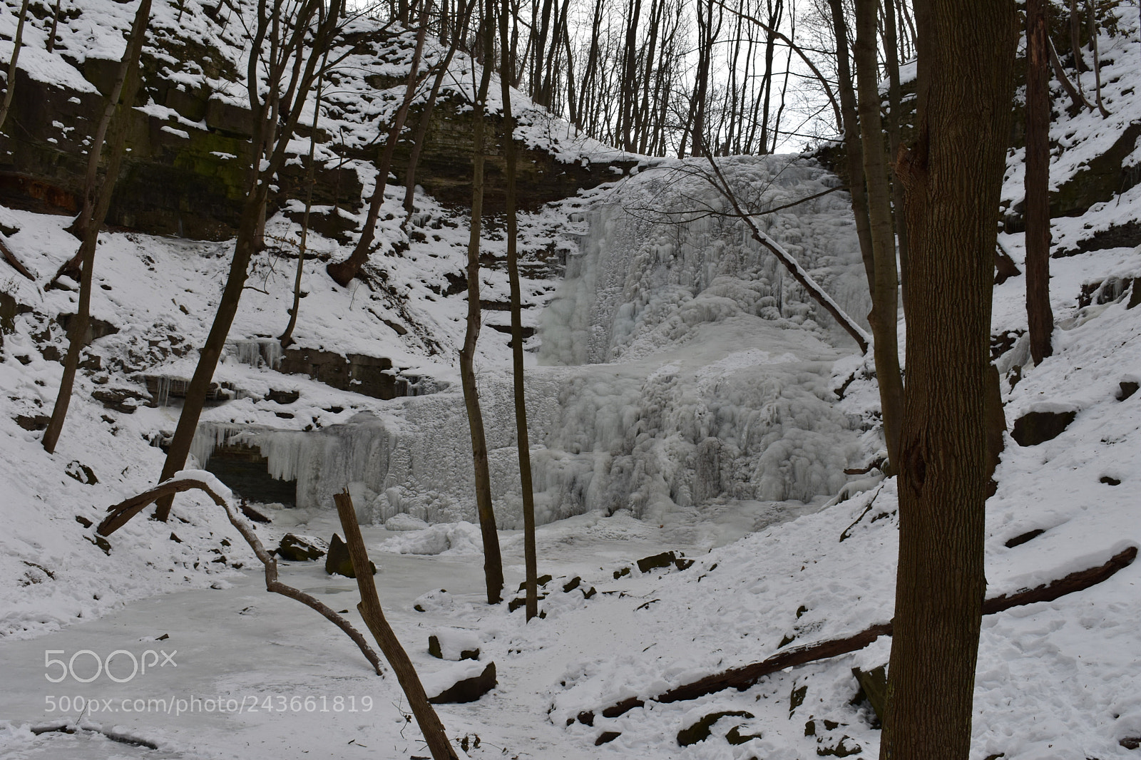 Nikon D3400 sample photo. Untitled photography