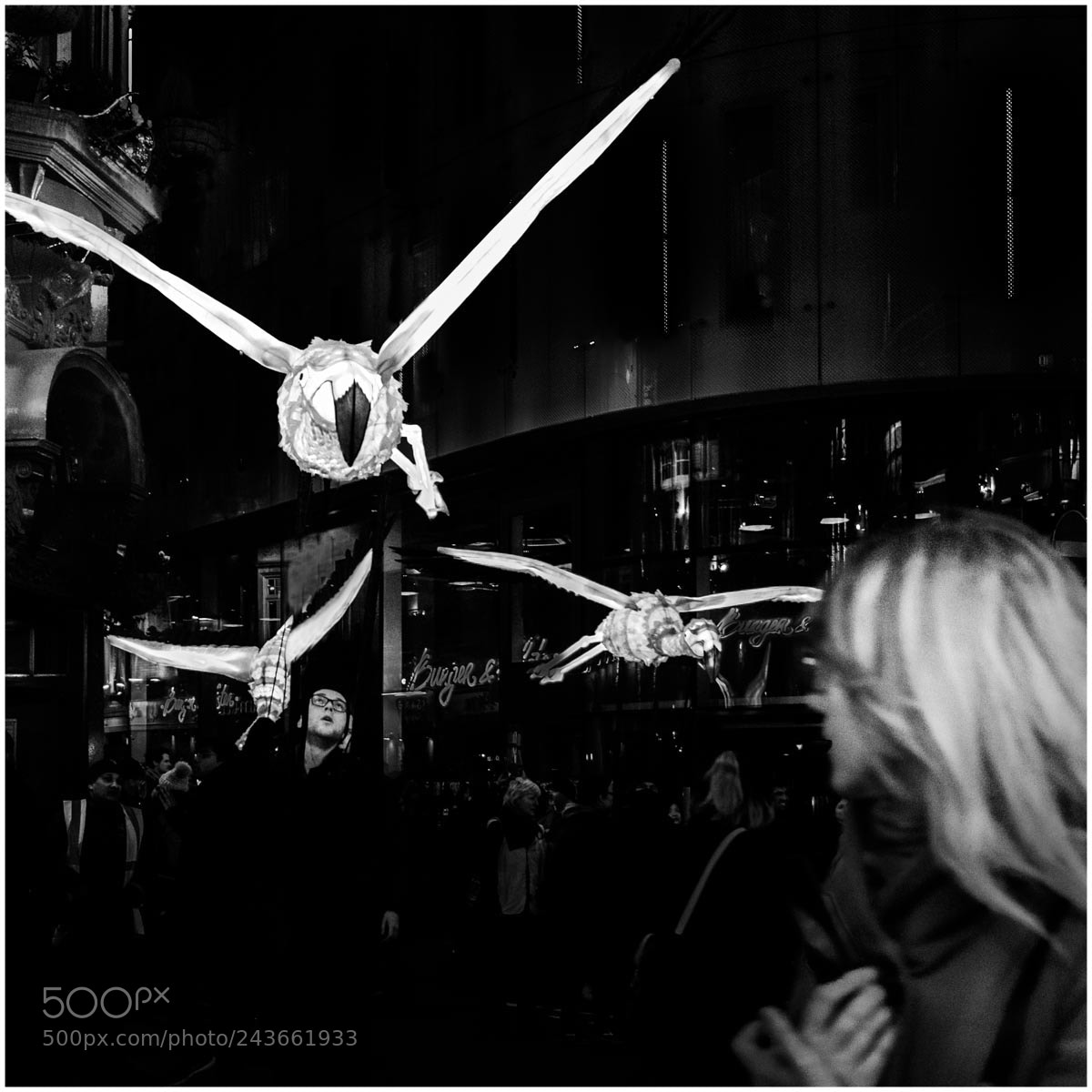 Fujifilm X-T20 sample photo. Don't look up! photography