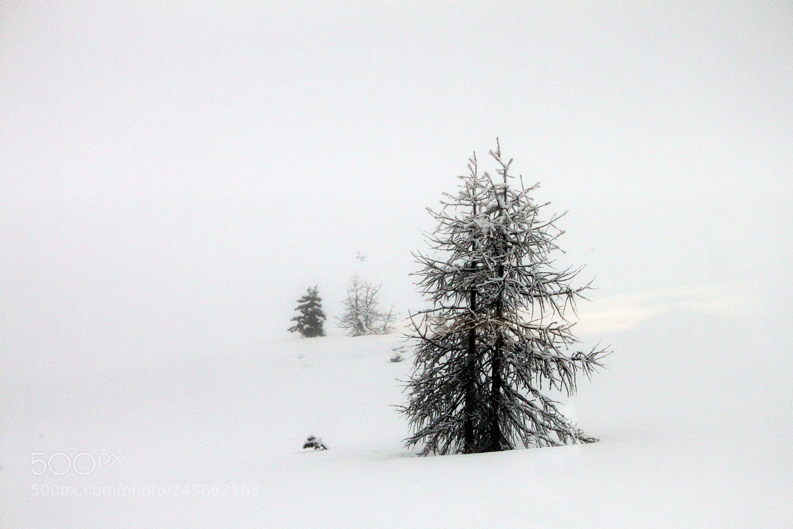 Canon EOS 500D (EOS Rebel T1i / EOS Kiss X3) sample photo. Zermatt, switzerland photography