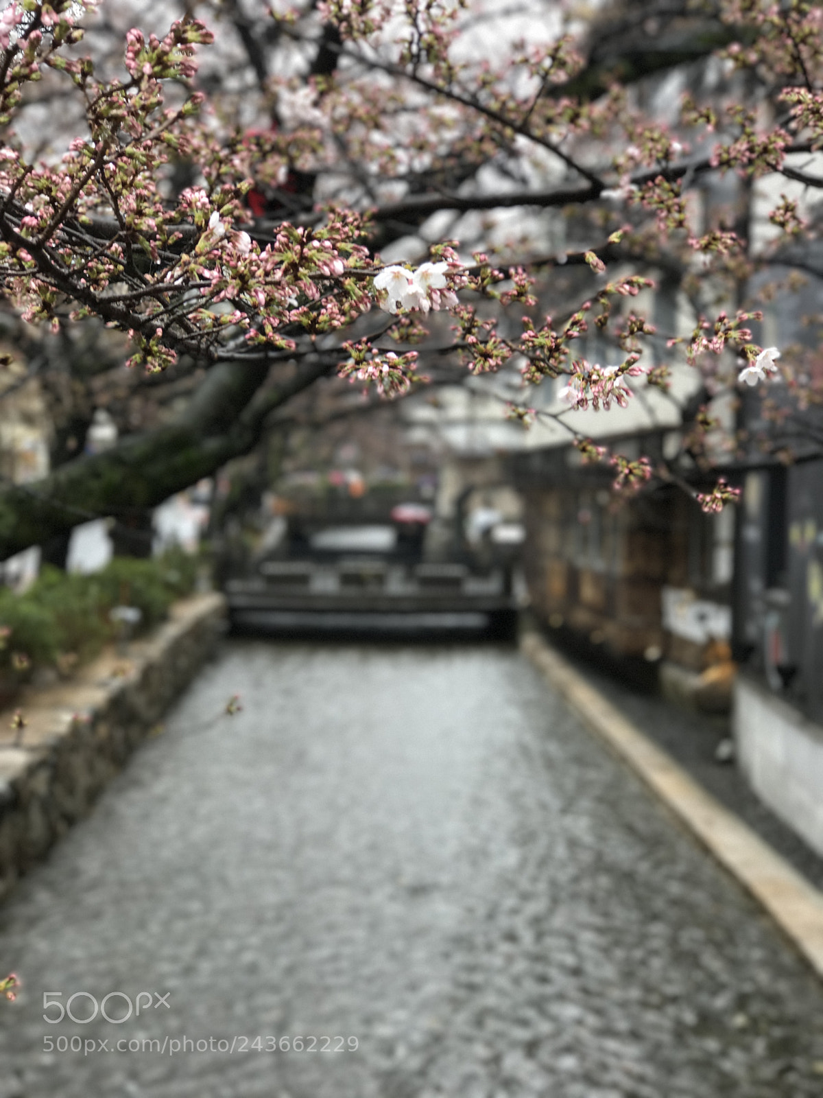 Apple iPhone 7 Plus sample photo. Kyoto japan photography