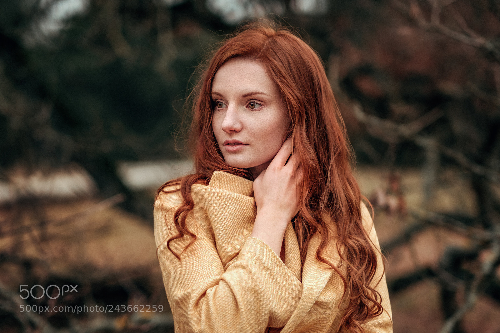 Fujifilm X-T2 sample photo. Red photography
