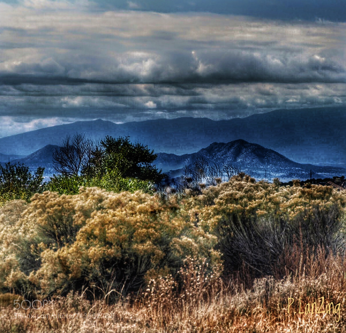 Olympus E-3 sample photo. Looking south from santa photography