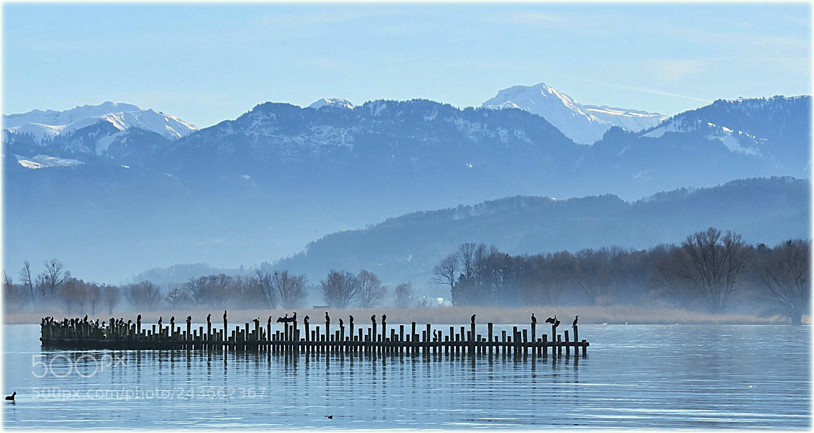 Nikon D7200 sample photo. "lake konstanz;bregenz;" photography