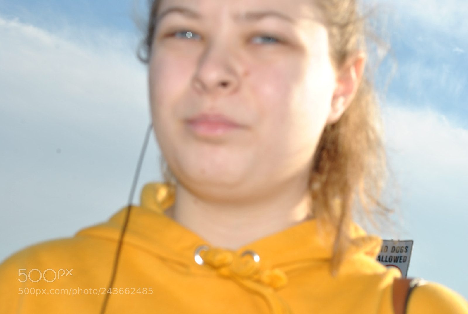 Nikon D3000 sample photo. Yellow photography