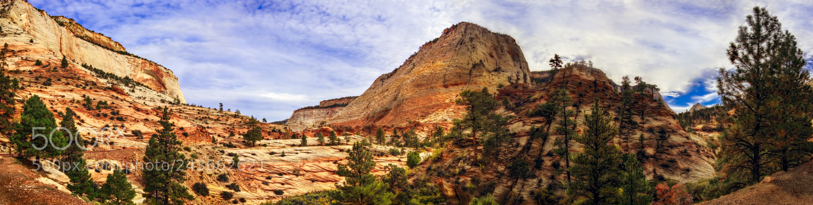 Nikon D810 sample photo. Zion national park photography