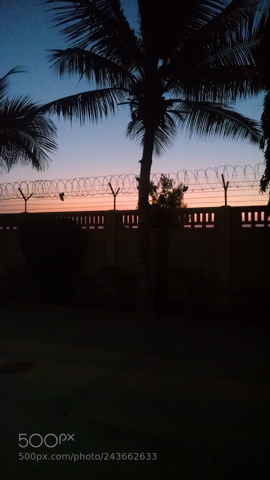 Motorola XT1080 sample photo. Morning photography