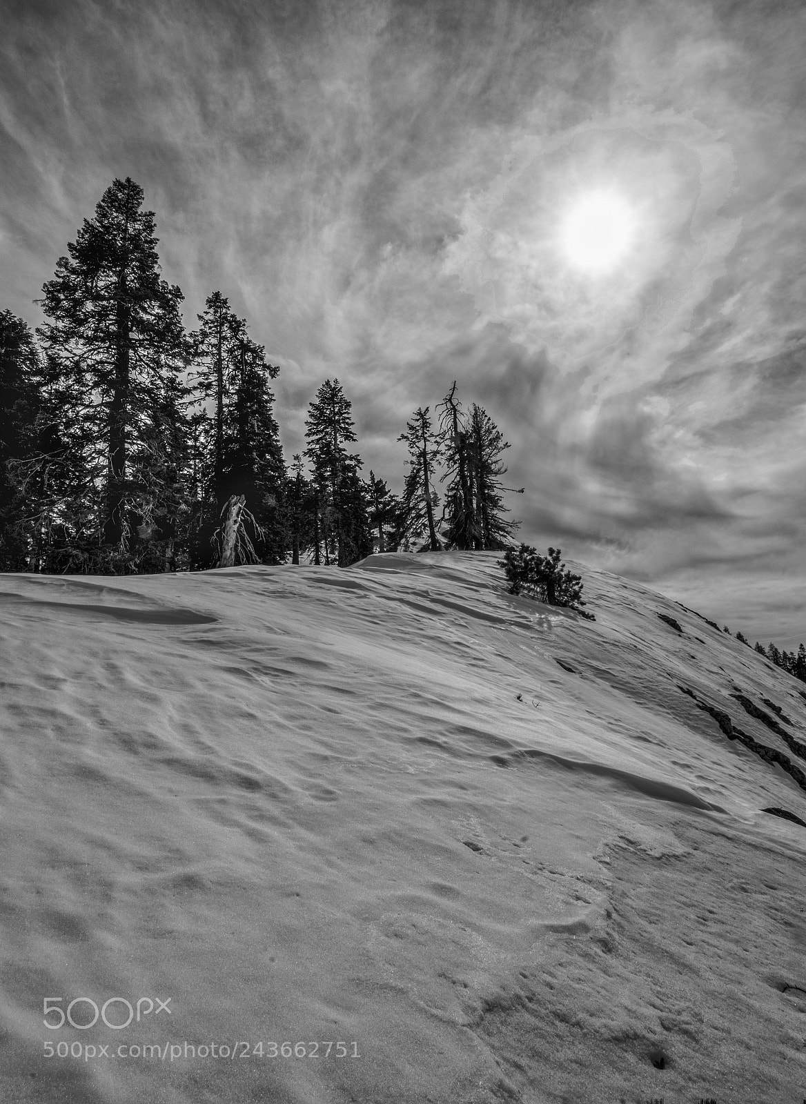 Nikon D7100 sample photo. Snowy big baldy in photography