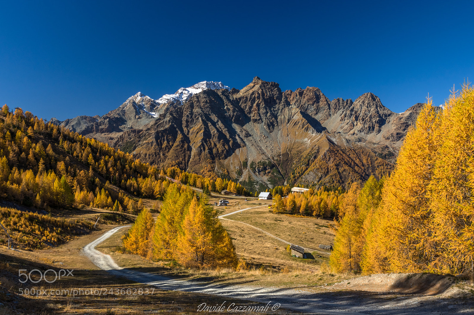 Pentax K-3 sample photo. Alpe palù photography