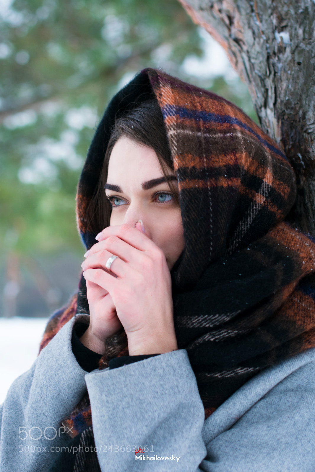 Nikon D3400 sample photo. "cold russian winter" photography