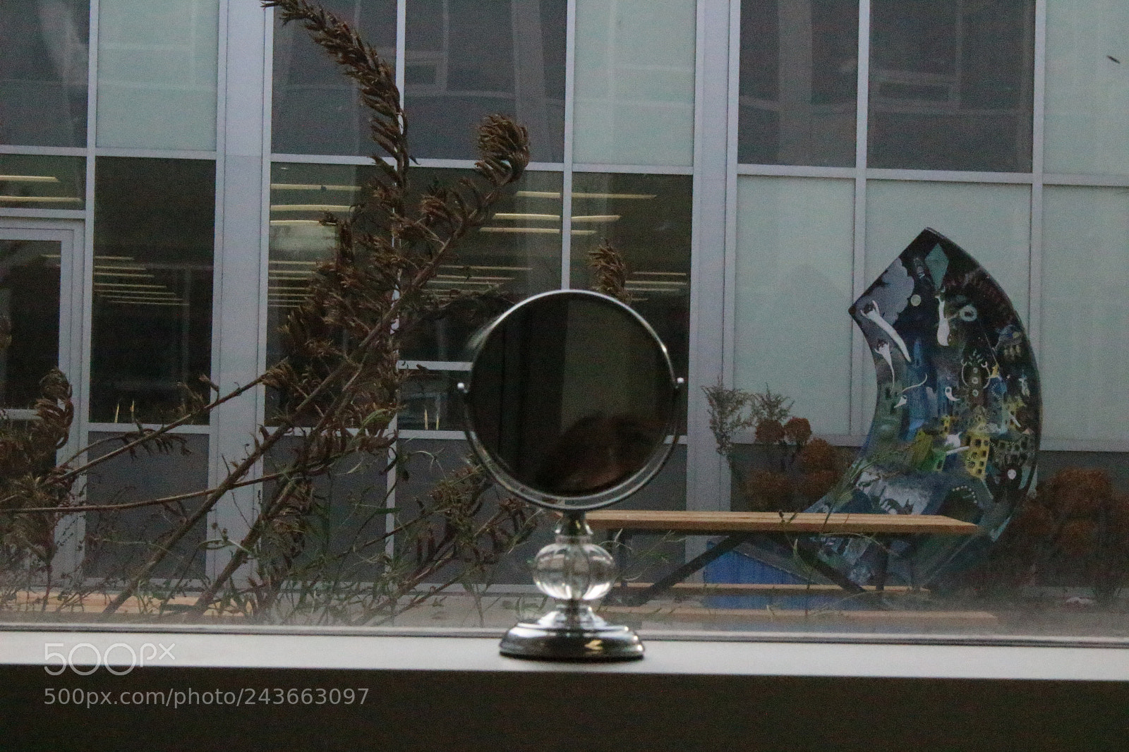 Canon EOS 100D (EOS Rebel SL1 / EOS Kiss X7) sample photo. Contrast photography