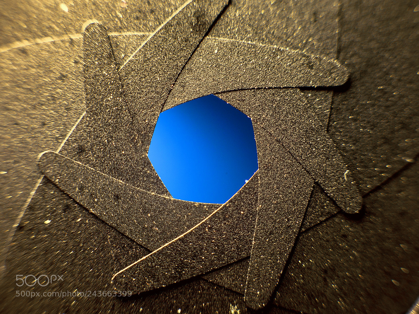 Canon EOS-1Ds Mark III sample photo. 1023482.jpg photography