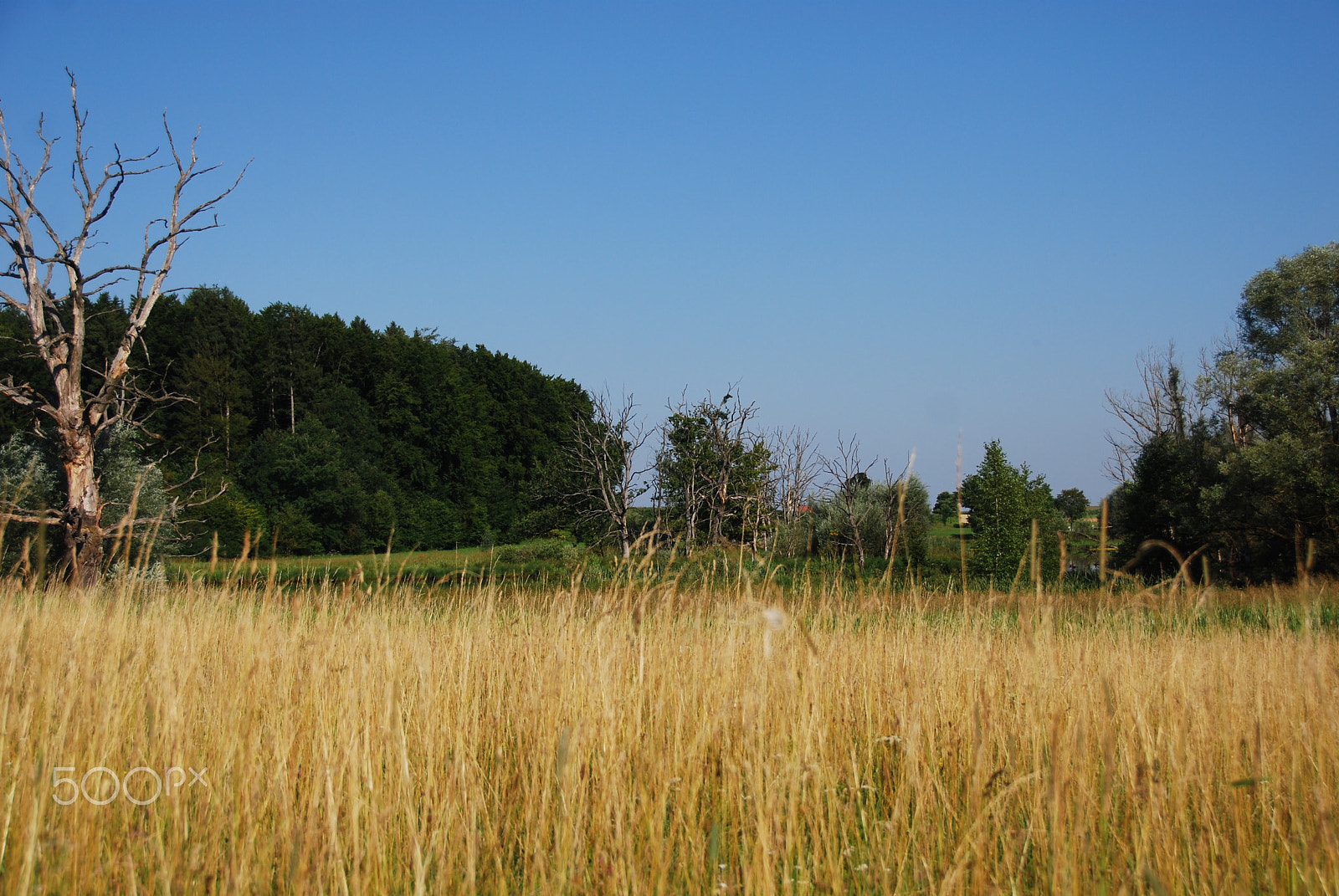Nikon D40X sample photo. Seachtn photography