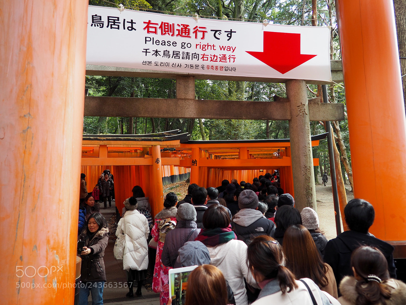 Olympus OM-D E-M10 II sample photo. Please go right way photography