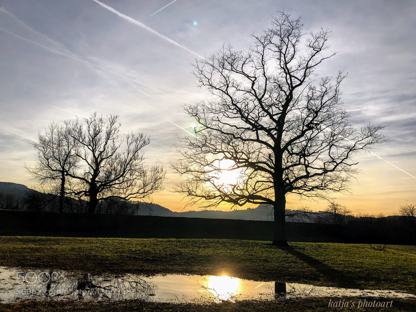 Apple iPhone X sample photo. Bäume ? photography